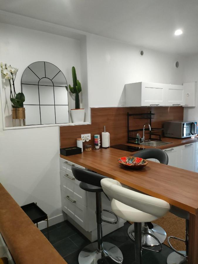 VénissieuxLe Petit Cocon - Parking Prive - Lyon Sud公寓 外观 照片