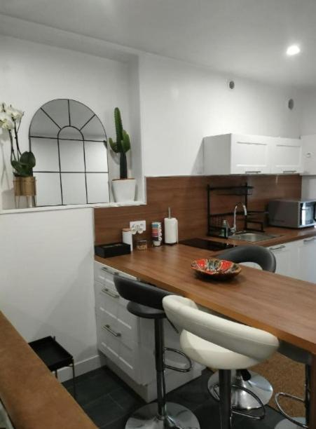 VénissieuxLe Petit Cocon - Parking Prive - Lyon Sud公寓 外观 照片